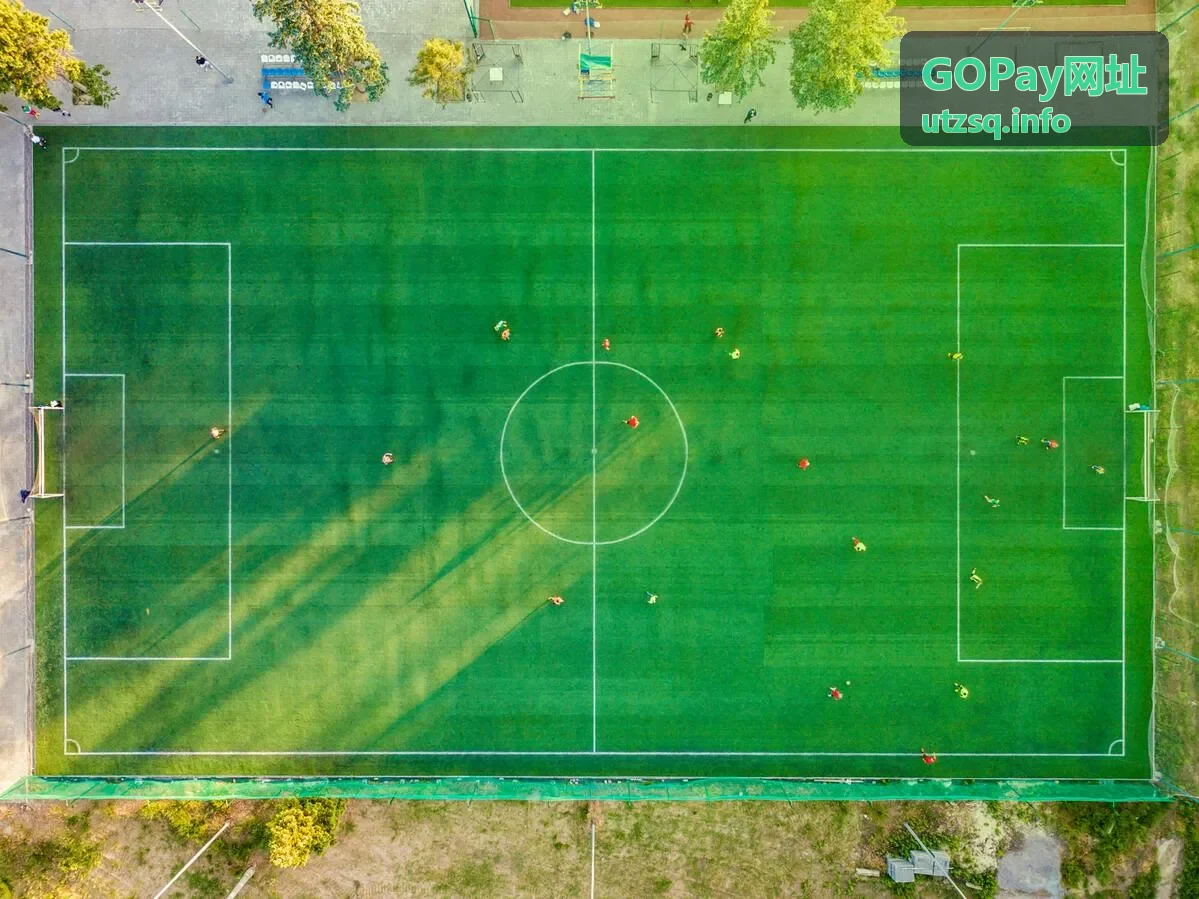 GOPay网址 合规备案支持